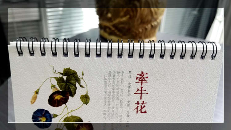 2017年精品紙臺(tái)歷印刷