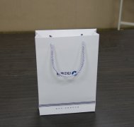 房地產公司銅版紙手提袋印刷