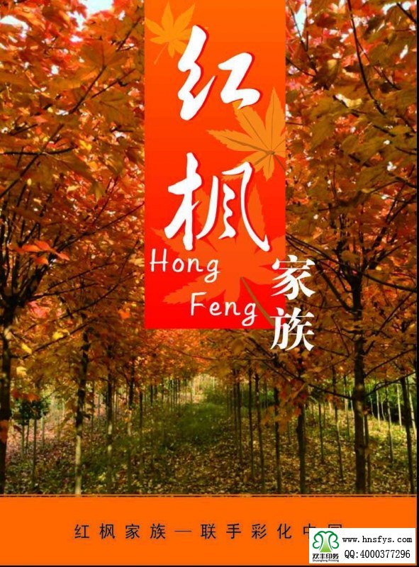 河南印刷廠:紅楓家族 宣傳畫冊(cè)