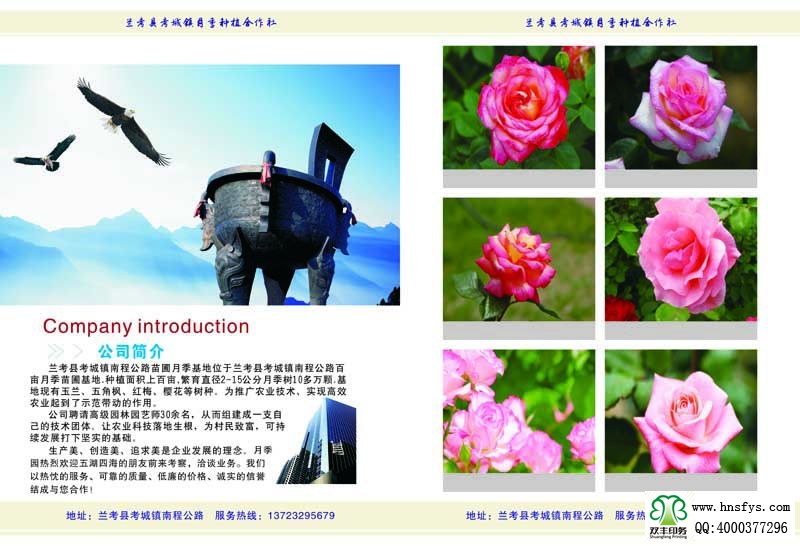 河南印刷廠:月季苗圃基地月季園畫(huà)冊(cè)印刷