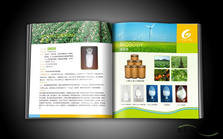 科技公司企業(yè)畫(huà)冊(cè)印刷